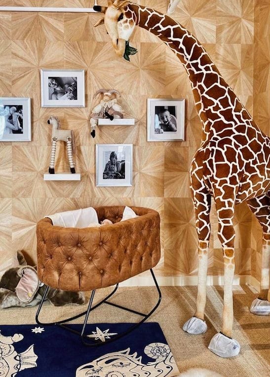 Stylish Baby Bassinets