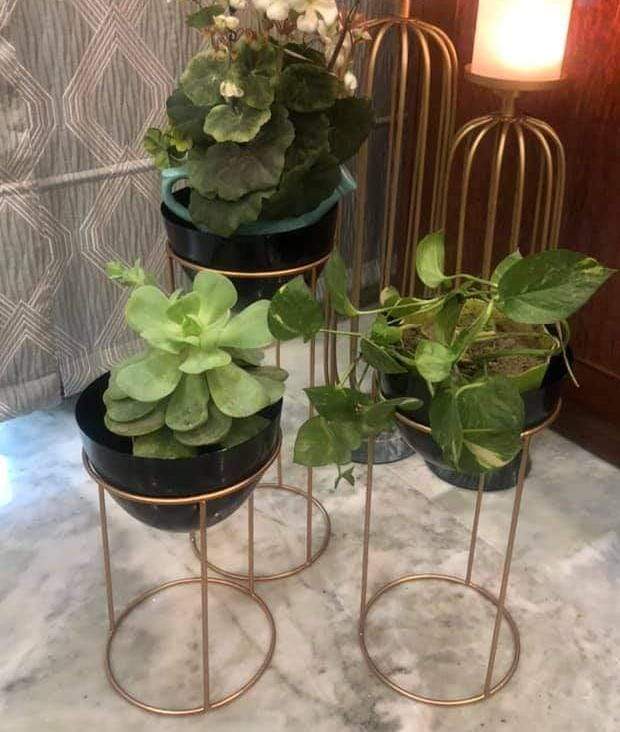 Egg Shape Pots Black And Gold Metal Planter (Set of 3)