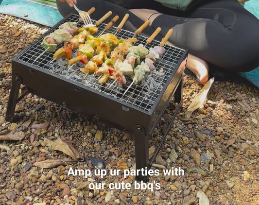 Briefcase Style Barbecuq bbq