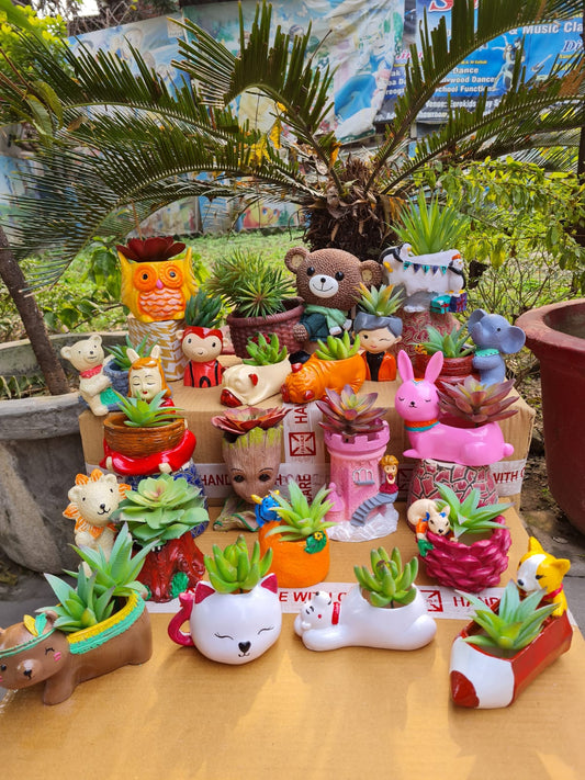 Mix Planter Combo 20 pcs