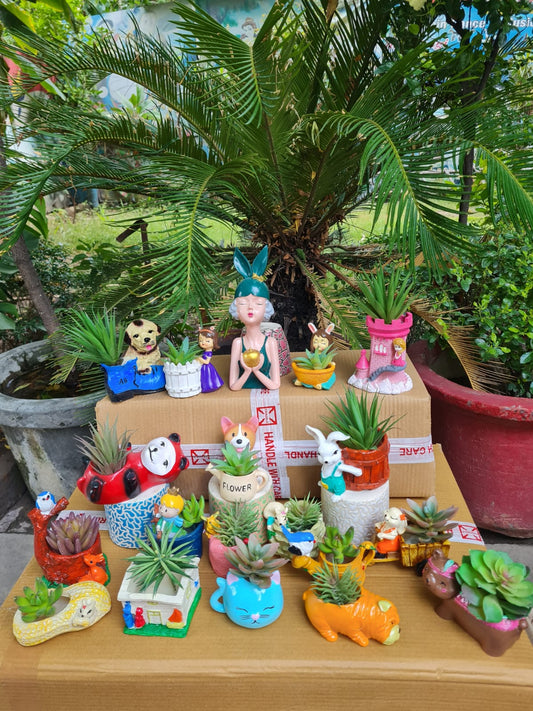 Mix Planter Combo 19 pcs