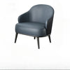 Modern Luxotic Accent Chairs