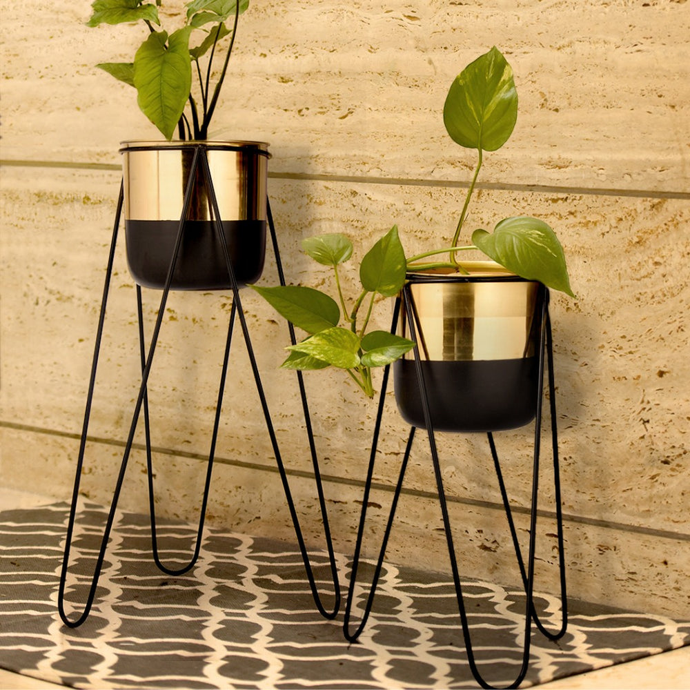 Set of 2 Cylindrical Shape Planter Stand, Gold and Black