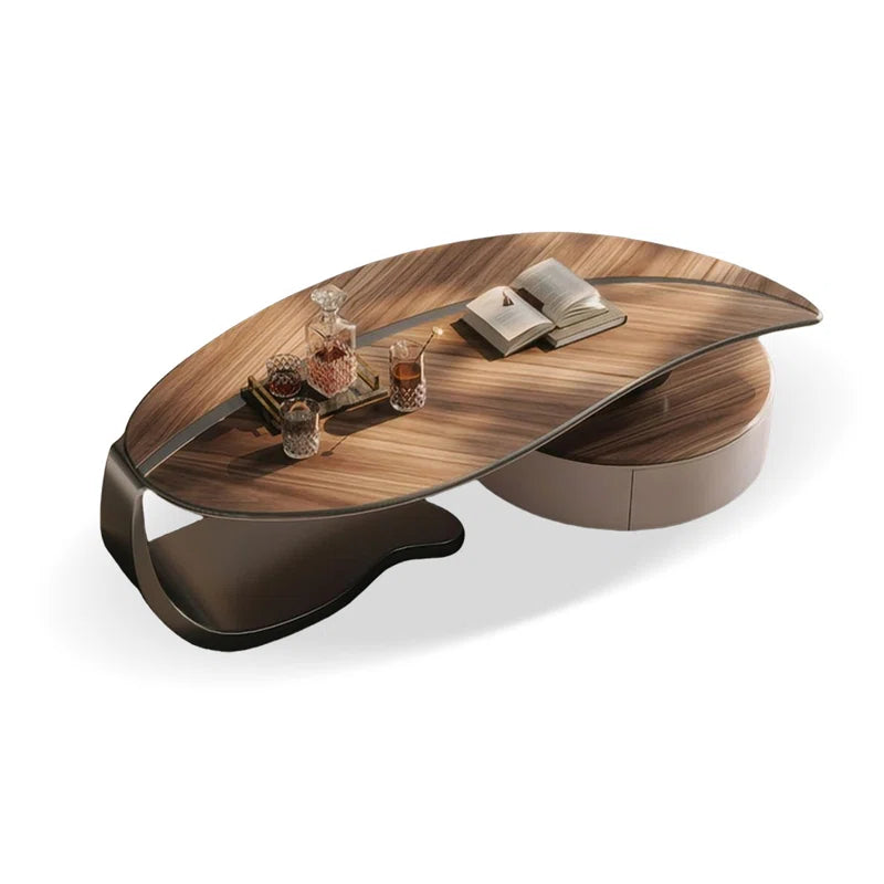 Modern Wallnut Veneer Coffee Table With Maple Storage