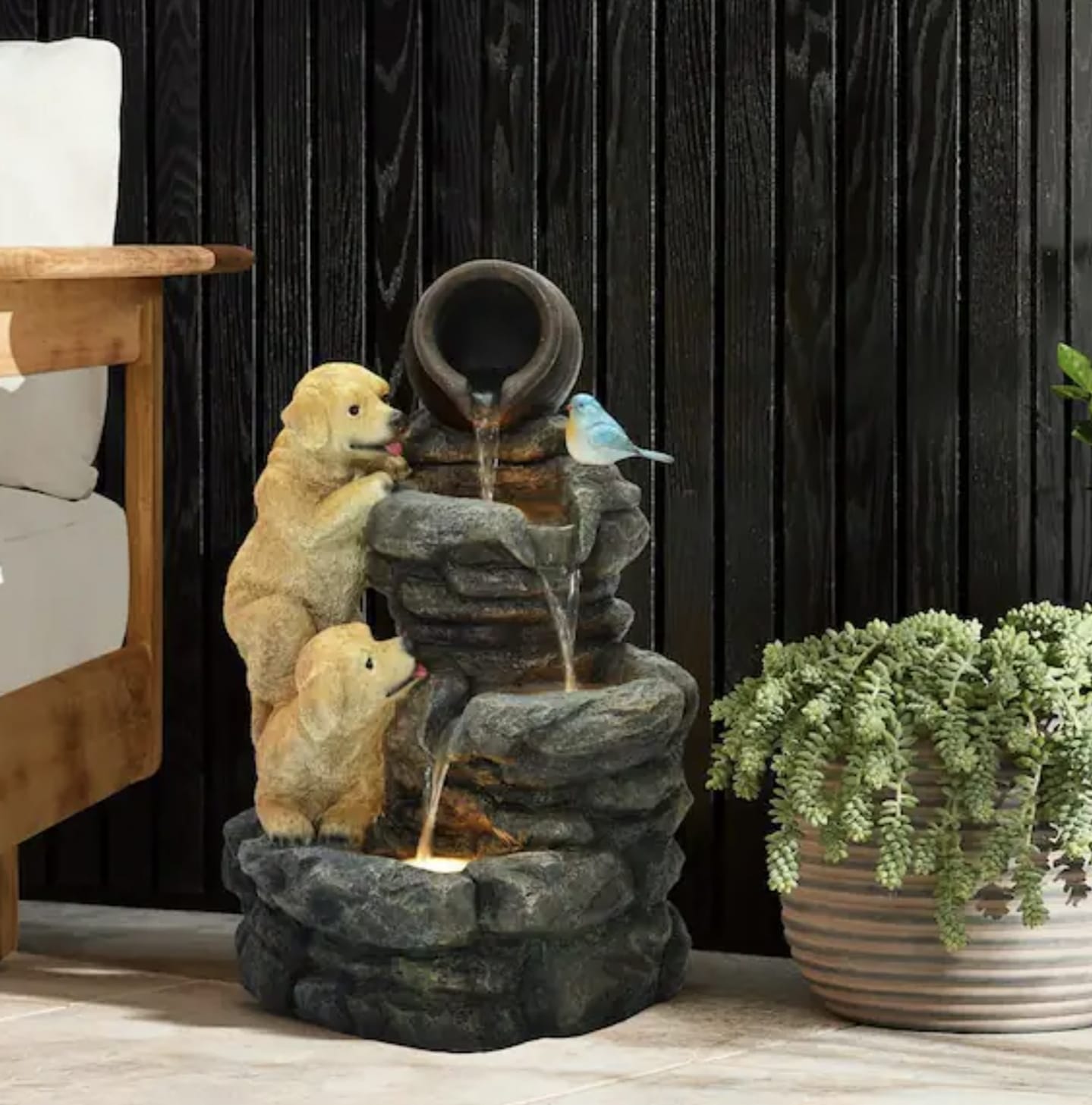 Dog water Fountain