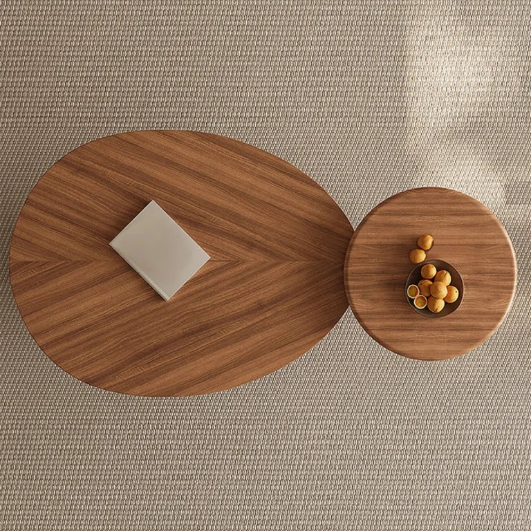 Modern Walnut & Stainless Steel Coffee Table Set (2-Piece)