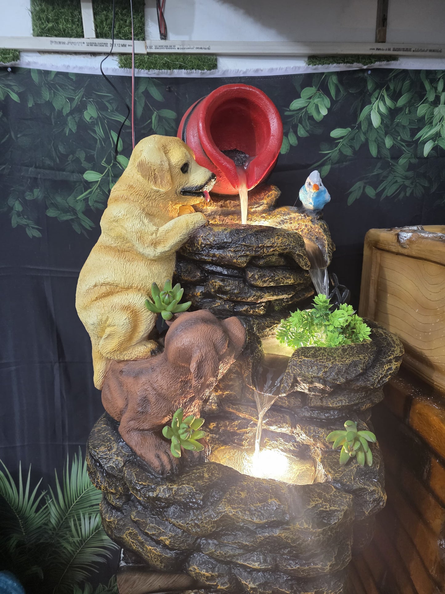 Dog water Fountain