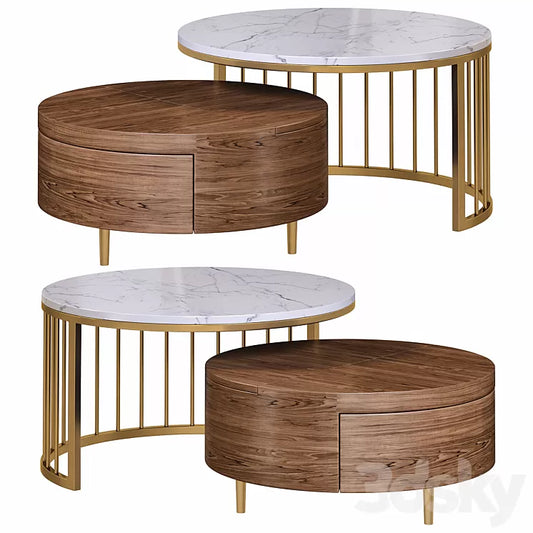 Elegant Set of 2 Stainless Steel Centre Table, Gold and Brown