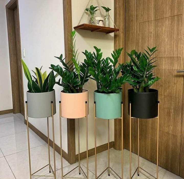 Multicolour Metal Planter Set, Black, Green, Pink and Grey