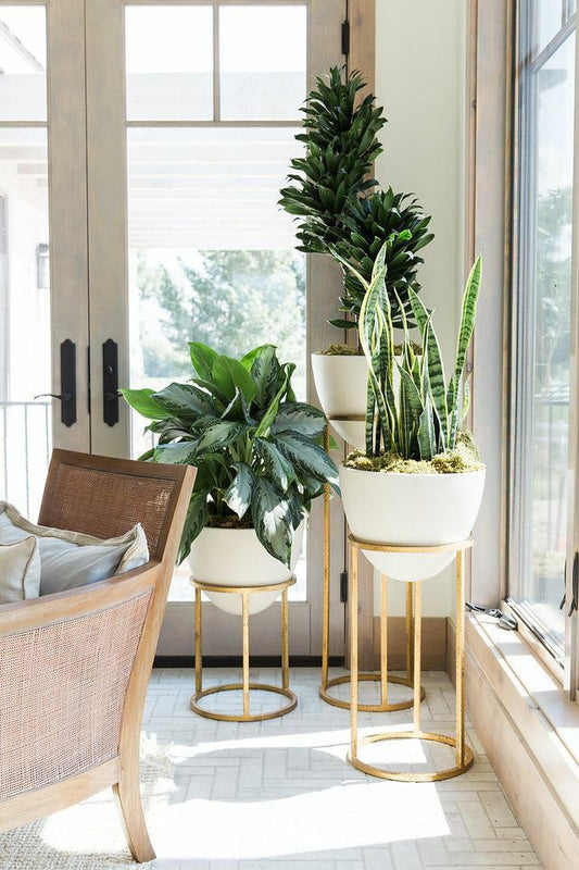 Egg Shape Planter, White and Gold (Set Of 3)