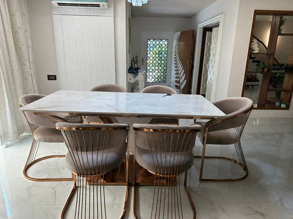 Stainless steel Dining Table With 6 Chairs