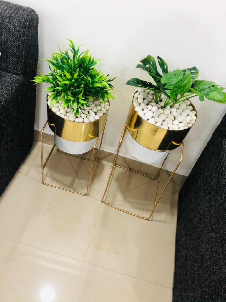Indoor Living Room Small (Set of 2) Electroplated Planters